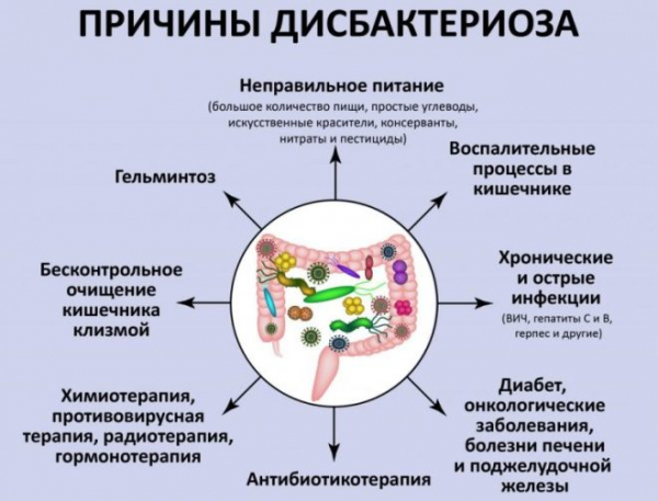 Лечение травами желудочно-кишечного тракта