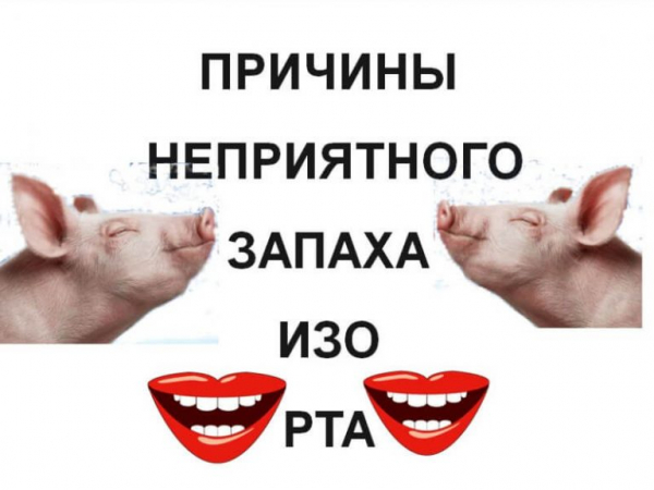 Почему возникает запах изо рта и как быстро от него избавиться? Почему возникает запах изо рта и как быстро от него избавиться?